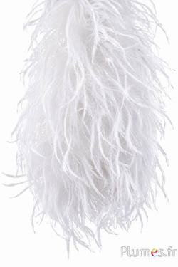 Struisvogel lont luxus - 10 plooien - wit